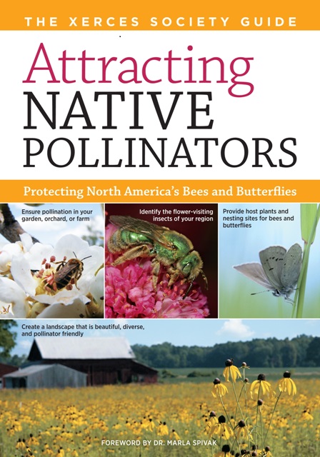 attracting-native-pollinators1