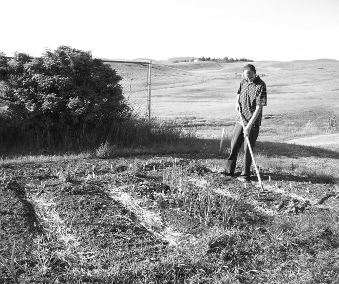 community garden plot