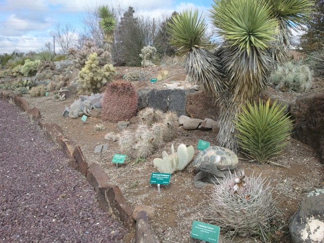 Plantasia Cactus Gardens -Twin Falls, Idaho