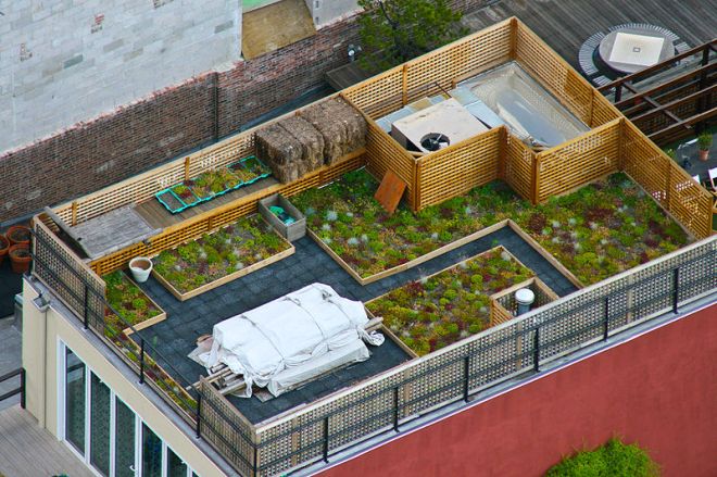 Rooftop Garden - Manhattan, New York ( photo credit: wikimedia commons)