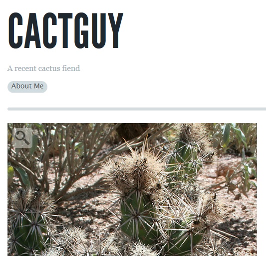 Succulent Blogs on Tumblr | awkward botany