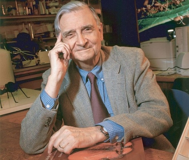 Edward O. Wilson (photo credit: Wikimedia commons)