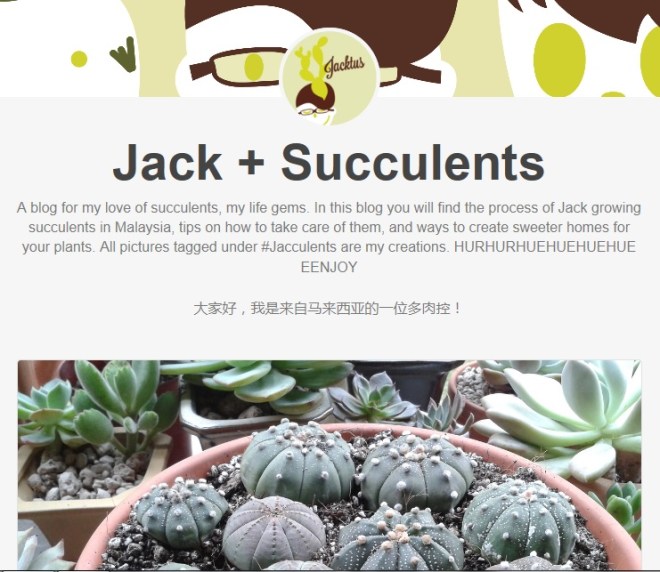 jacculents