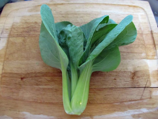 'Shanghai Green' Pak Choy