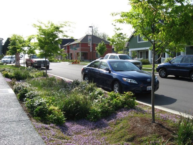 A rain garden or bioswale planted in a hellstrip to help mitigate storm water runoff. (photo credit: epa.gov)