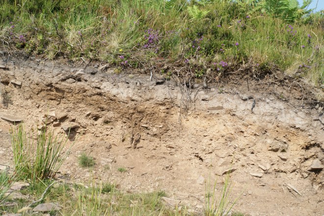 photo credit: wikimedia commons