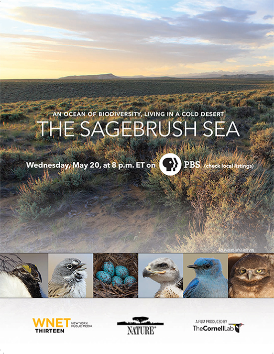 The-Sagebrush-Sea