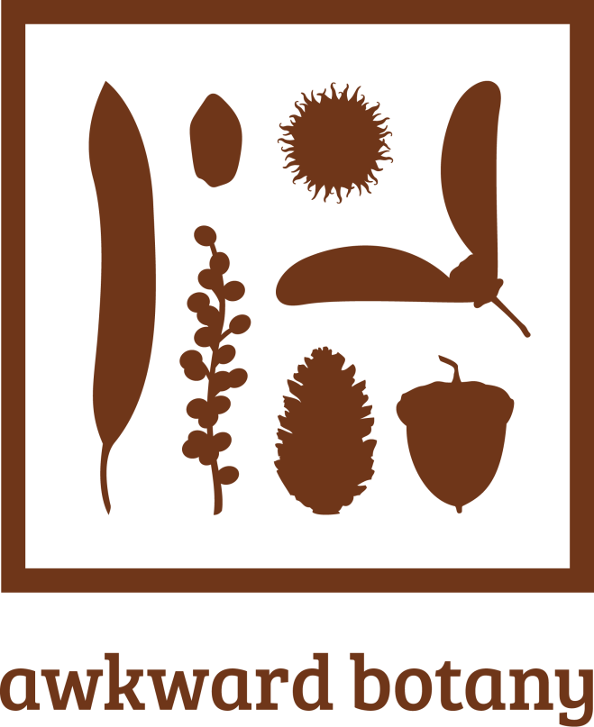 AB_Logo_Brown1
