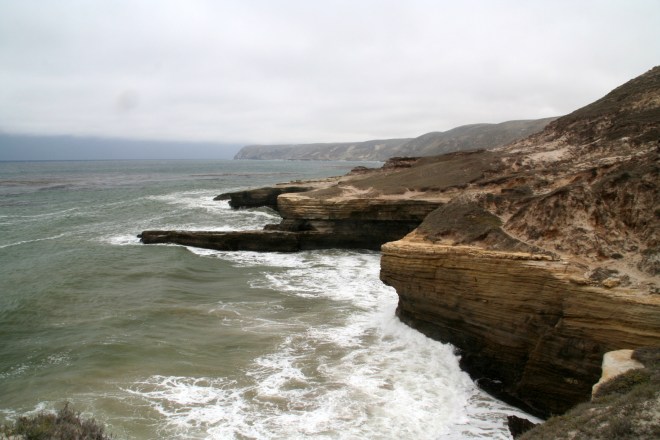 Santa Rosa Island - home to Caloplaca obamae (photo credit: wikimedia commons)