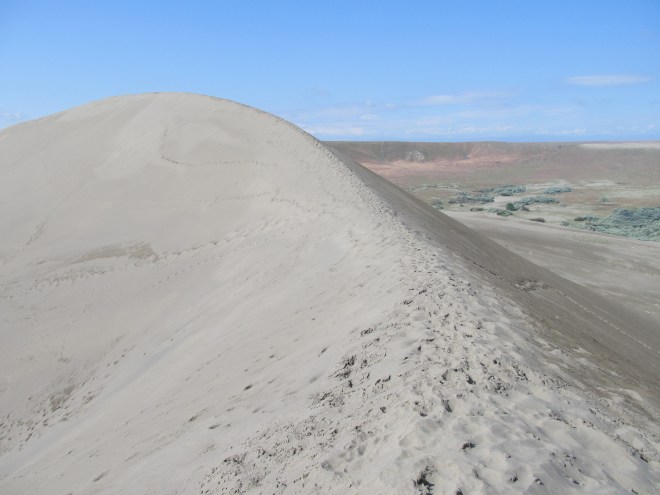 Traversing the spine of a brontosauras (aka sand dune).