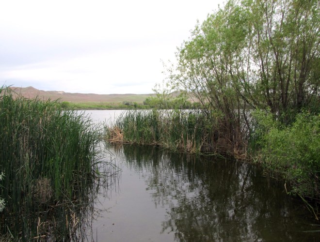 A marshy entrance to Dunes Lake