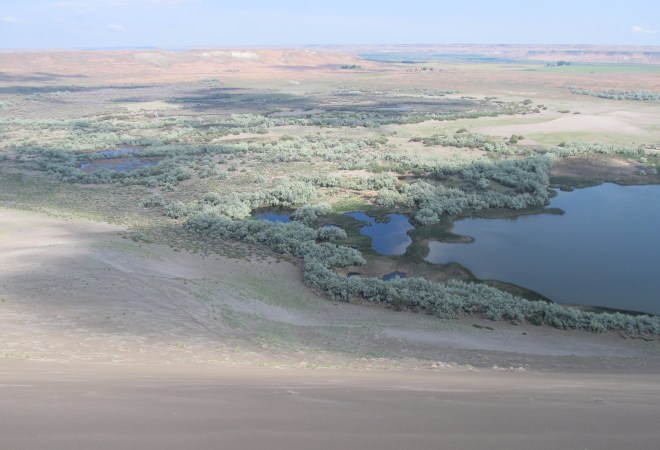 On top of the sand dune looking down at the lake and marsh.