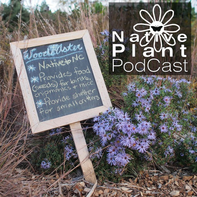 native plant podcast logo and sign