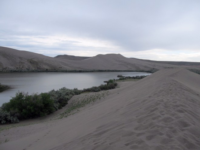 On top of a small dune looking across lake to large dune.