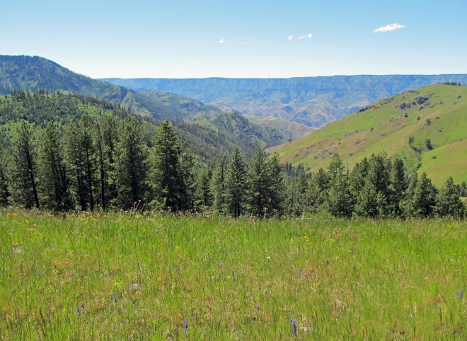 On cow creek saddle looking towards Snake River canyon