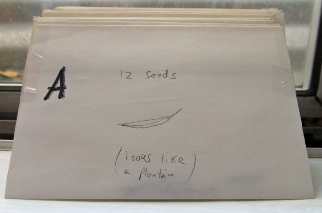 seed packets_experiment