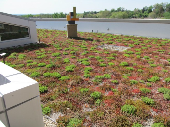 Green roofs