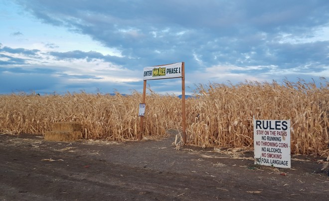 Entering the corn maze at The Farmstead in Meridian, Idaho