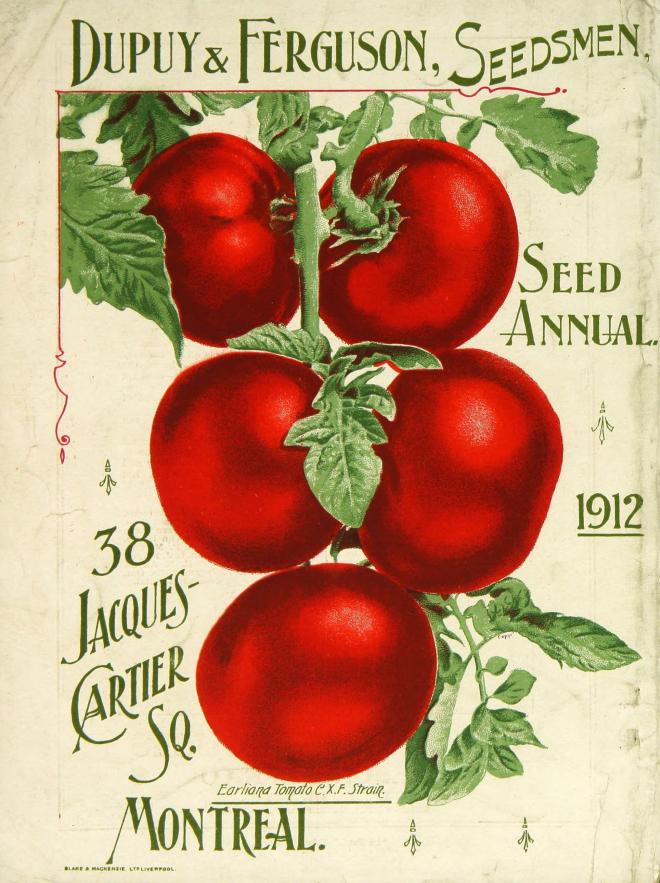 photo credit: wikimedia commons