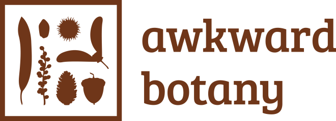 ab_logo_brown2