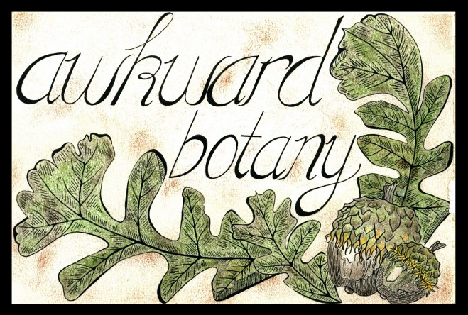 ablogo_cropped-with-black-border-2