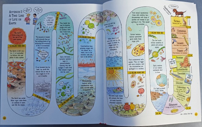 A time line of life on earth from When Fish Got Feet by Hannah Bonner