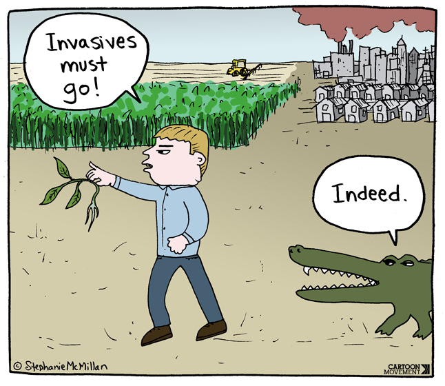 image credit: cartoon movement