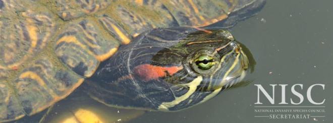 14022181_337370233276031_3806807017744063588_n