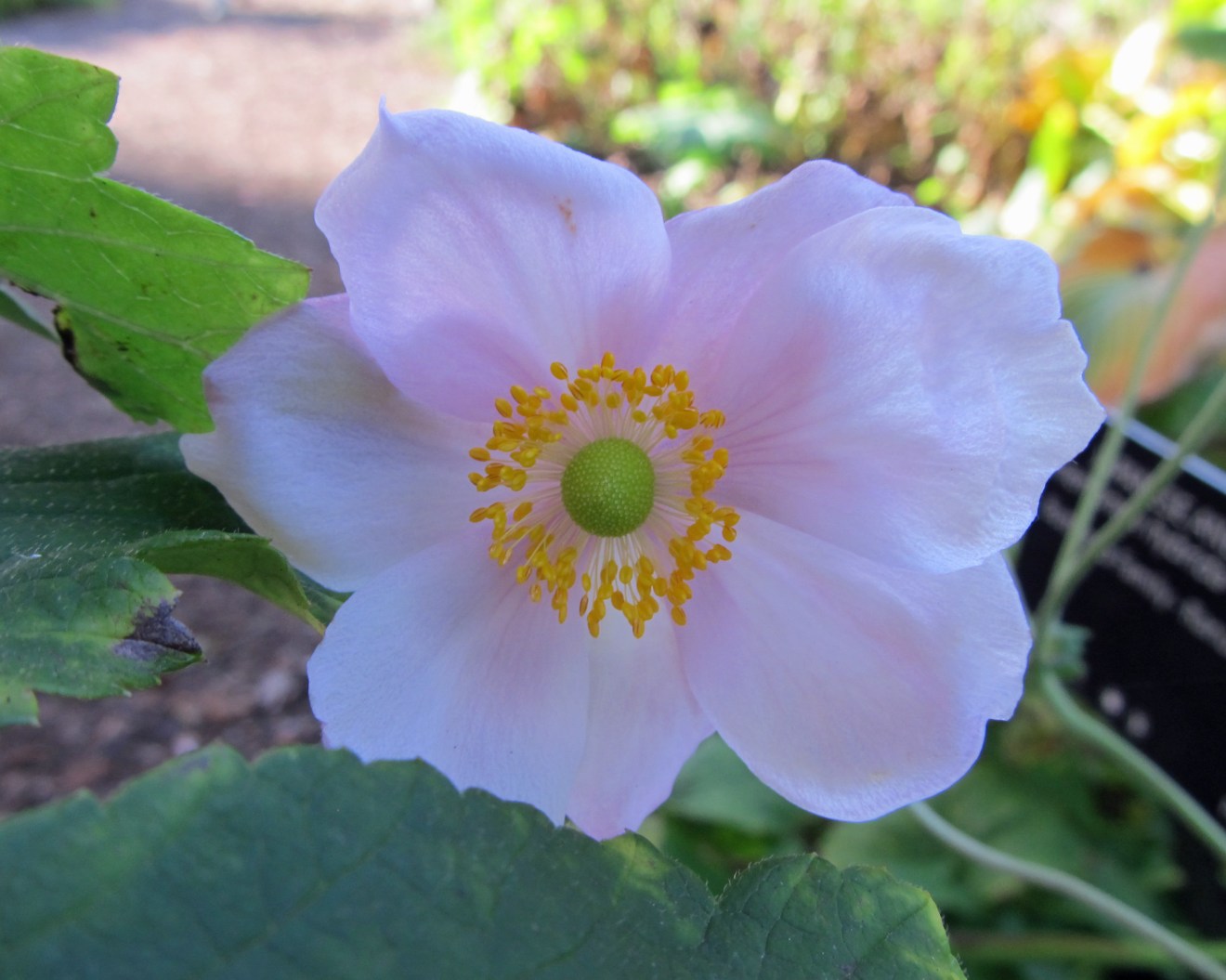 Awkward In October: A Grumpy Sunshine Romantic Comedy